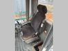 Liebherr 550 2plus2 Foto 9 thumbnail
