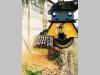 EMM Fresaceppi per escavatore 7 / 14 ton Foto 2 thumbnail