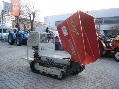 Rotair RAMPICAR R 70 AE DUMPER - MOTORE Vanguard Briggs&Stratton in vendita da Giordano Srl