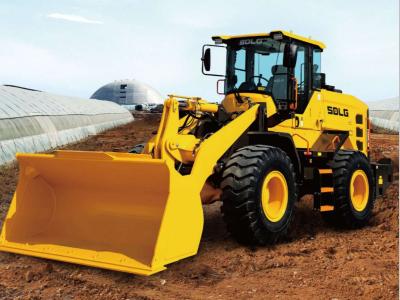 SDLG L938H in vendita da Procaccini Group Sud