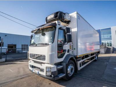 Volvo FLH 290  CARRIER DHOLLANDIA in vendita da Braem NV
