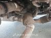 Scania G450 4X2 German Truck Hydraulik Leather Seats Foto 14 thumbnail