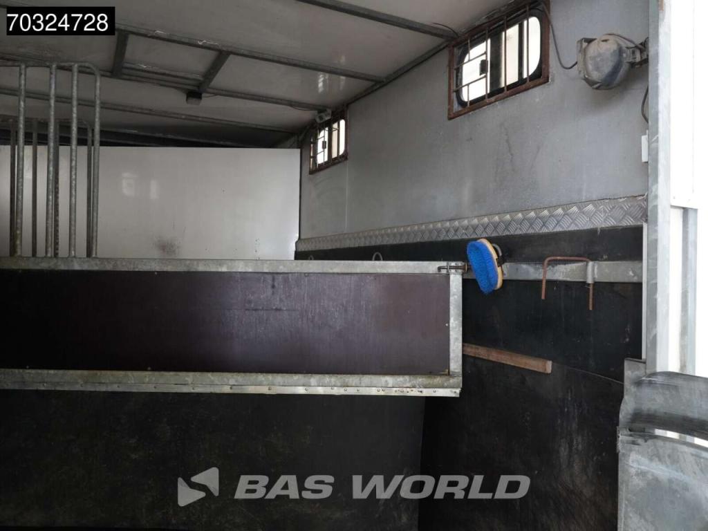 Mercedes-Benz Sprinter 412 D Dubbellucht Paardenwagen Horsetruck Pferdenwagen Foto 15