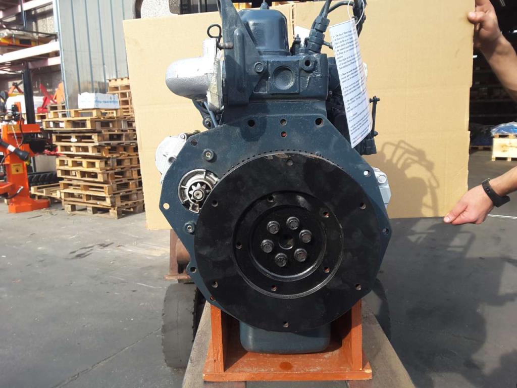 Kubota D1105 Foto 6