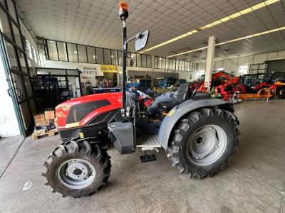 Same DELFINO 50 DT in vendita da Calabria Trattori Srl