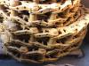 Catene / Catenarie per Caterpillar D6T Foto 1 thumbnail