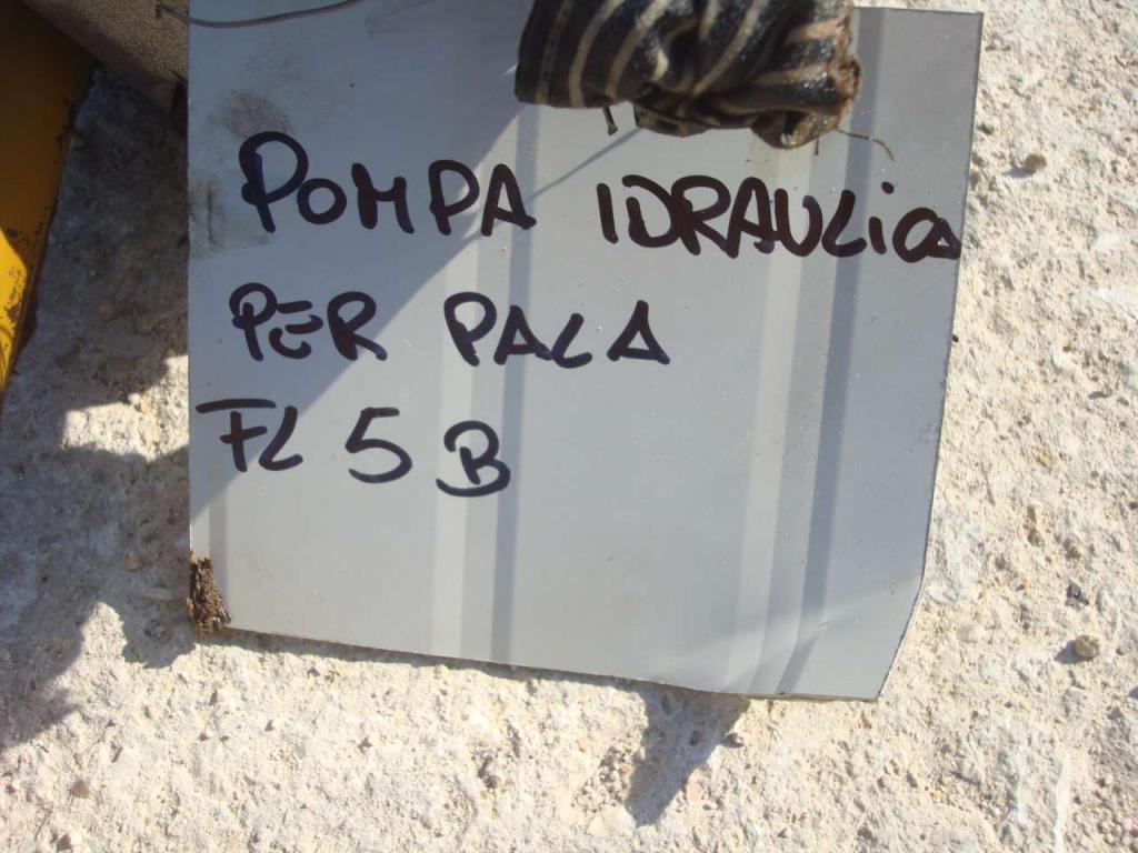 Pompa idraulica per Fiat Allis FL5B E APRIPISTA FD5 Foto 2