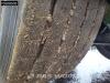 Nooteboom 0VB-42-03V 3 axles 3x Steering 1xLiftingAxle Extendable 650cm Foto 24 thumbnail