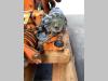 Deutz 4 cilindri Foto 10 thumbnail