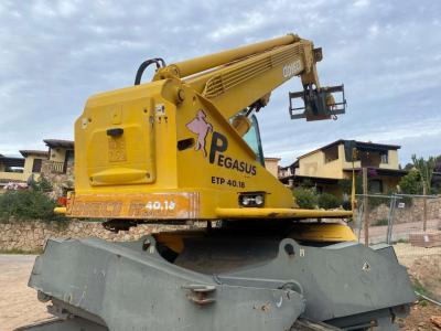 Dieci Pegasus ETP 40.18