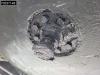Lintrailer 3LSDU1827 Steering Axle BPW Foto 30 thumbnail