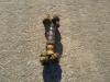 Albero di trasmissione per Fiat Hitachi FR220 Foto 2 thumbnail