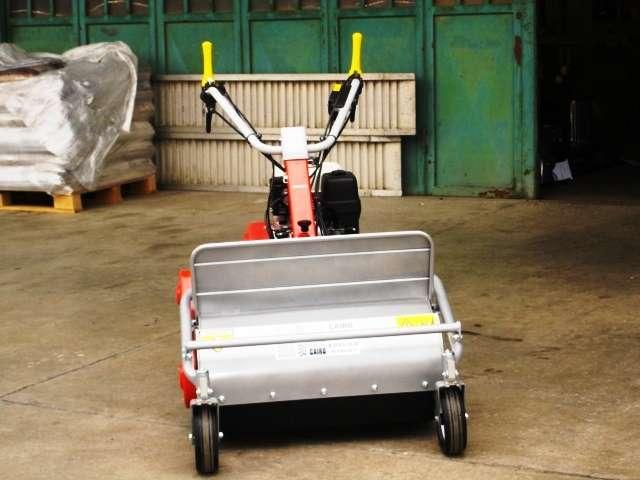 Efco DR 65 HONDA HP 9.5 Foto 2