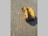 Biella e staffe richiamo benna per Fiat Allis FE28 Foto 3 thumbnail