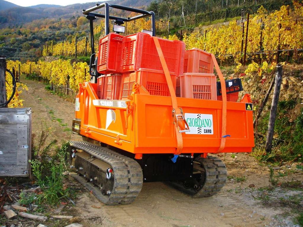 Cormidi C 200 Hp 31 YANMAR Foto 21