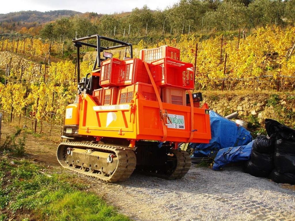 Cormidi C 200 Hp 31 YANMAR Foto 25