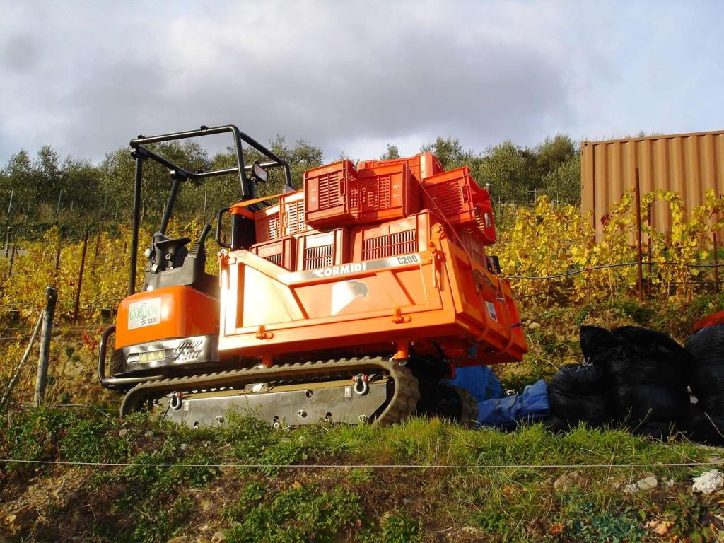 Cormidi C 200 Hp 31 YANMAR Foto 26