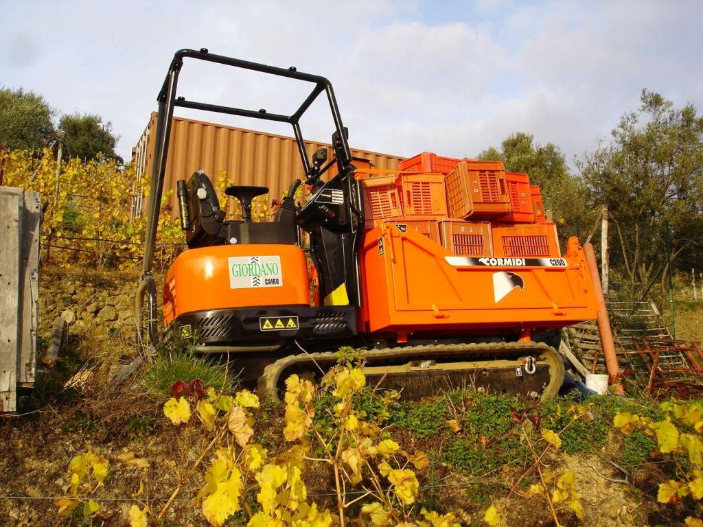 Cormidi C 200 Hp 31 YANMAR Foto 27