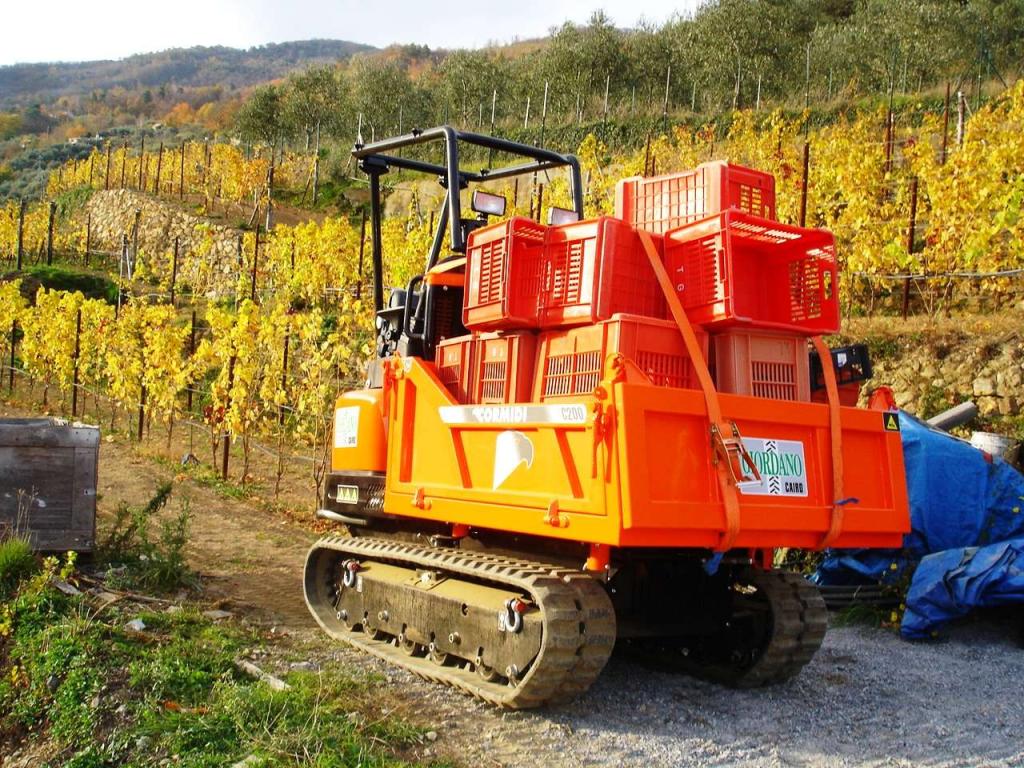 Cormidi C 200 Hp 31 YANMAR Foto 29