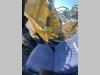 Komatsu PC210LCi-11 Foto 10 thumbnail