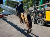 Daf CF85.430 + Effer 550 6/S Crane Foto 16 thumbnail