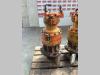 Motore di rotazione per Fiat Hitachi FH 400 Foto 2 thumbnail