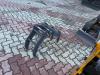 Gior 16 Evo.5 - CON PINZA TRONCHI - POWER KUBOTA Foto 27 thumbnail