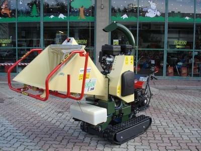 Negri R 225 RATO 420 SU MOTOCARRIOLA GIOR 600 ZANETTI in vendita da Giordano Srl