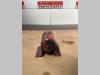 Blocco rotazione ralla per Silla 800 Foto 2 thumbnail
