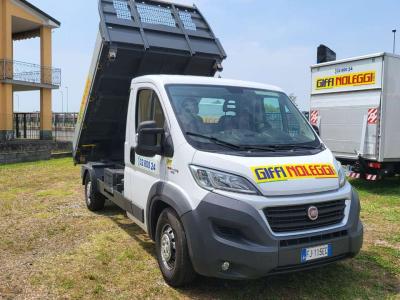 Fiat DUCATO in vendita da Giffi Noleggi srl