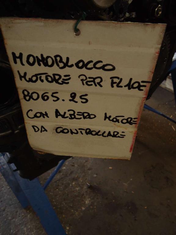 Monoblocco motore per Fiat Allis/Fiat Hiatchi FL10E/EX215/W130 Foto 4