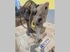 S1 for 20-25 ton excavators Attacco rapido idraulico Foto 1 thumbnail