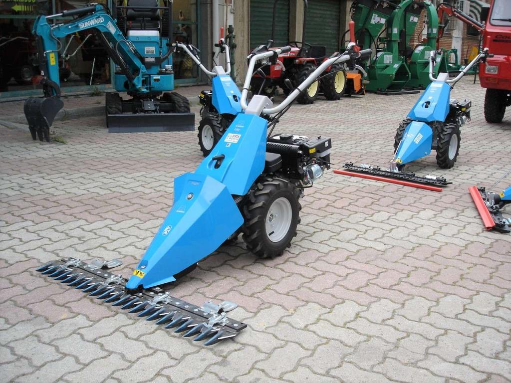 Bertolini 130 S - MOTORE EMAK BENZINA Foto 3