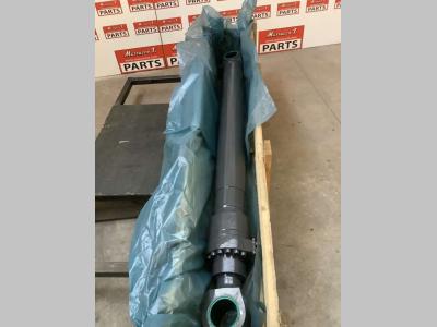 Pistone sollevamento per Case WX168 in vendita da Massucco T. Srl Area Ricambi