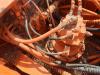 Fiat Hitachi FH200-2 Foto 3 thumbnail