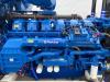 FG Wilson P1375-1 - 1.375 kVA Open Genset - DPX-16028.1 Foto 5 thumbnail