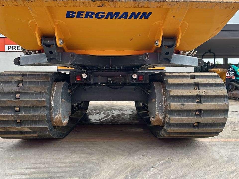 Bergmann 4010R Foto 12