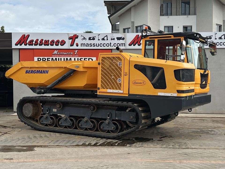 Bergmann 4010R Foto 18
