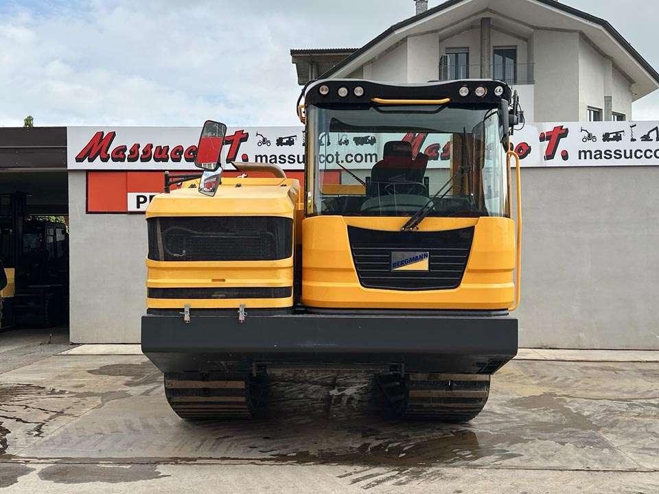 Bergmann 4010R Foto 19