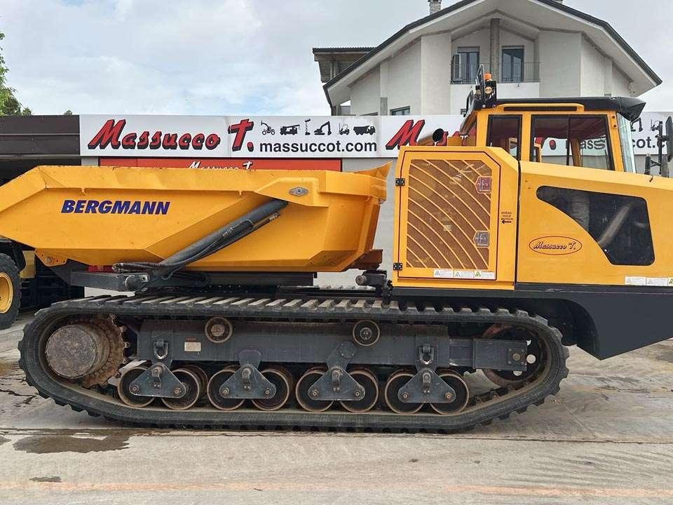 Bergmann 4010R Foto 20