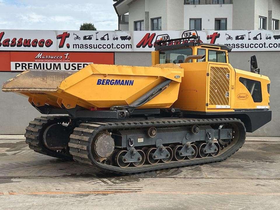Bergmann 4010R Foto 21