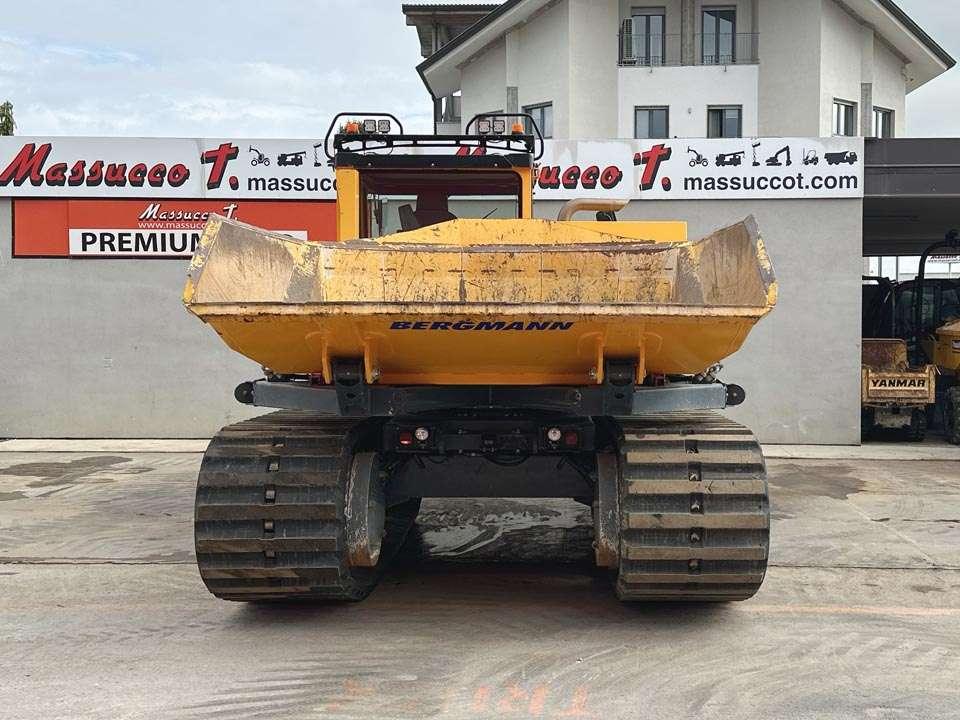 Bergmann 4010R Foto 22