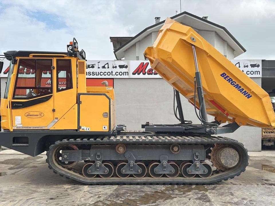 Bergmann 4010R Foto 9