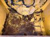 Caterpillar D6 | 513-6215 BAR GP-STRIKER Foto 3 thumbnail