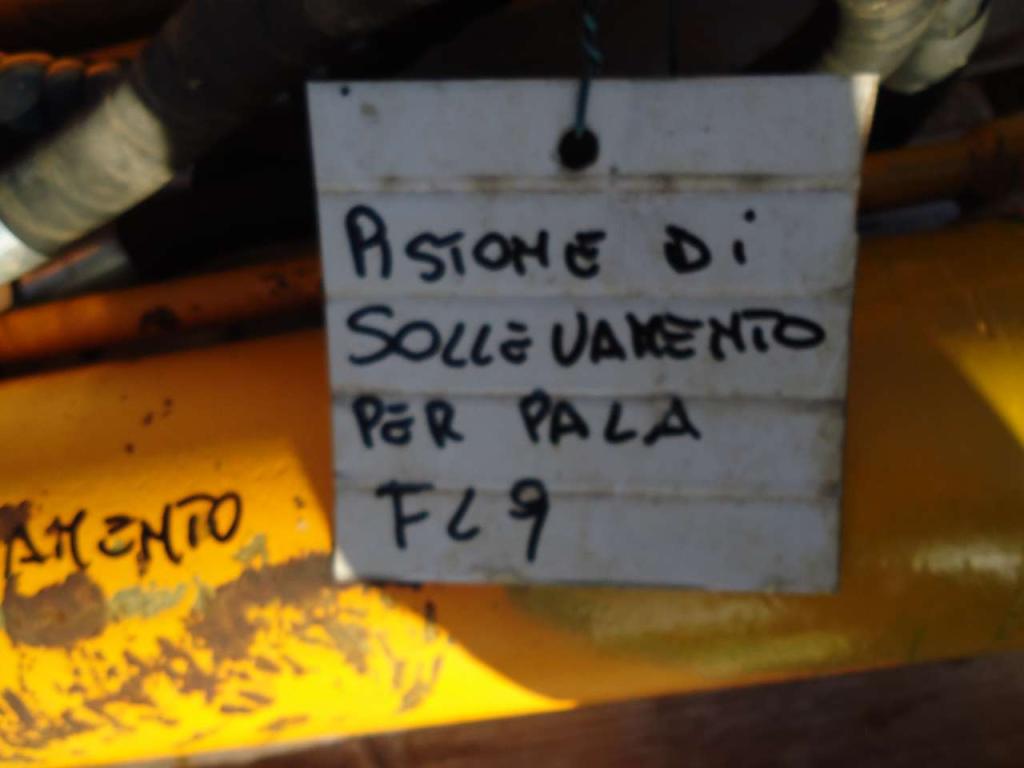 Pistone sollevamento per Fiat Allis FL9 Foto 4