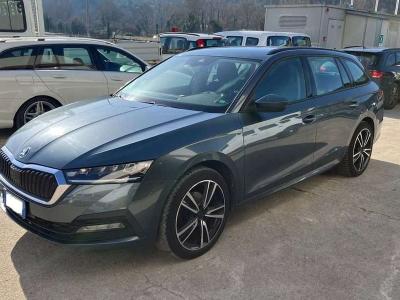 Skoda Octavia in vendita da Tevi Srl