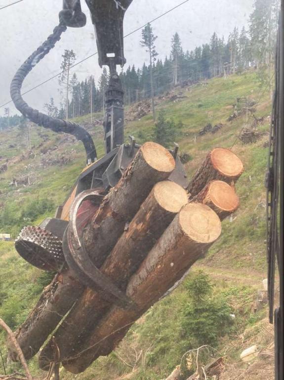 ZOGGELER ZBH58 Foto 6