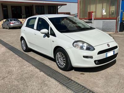 Fiat Punto in vendita da Tevi Srl