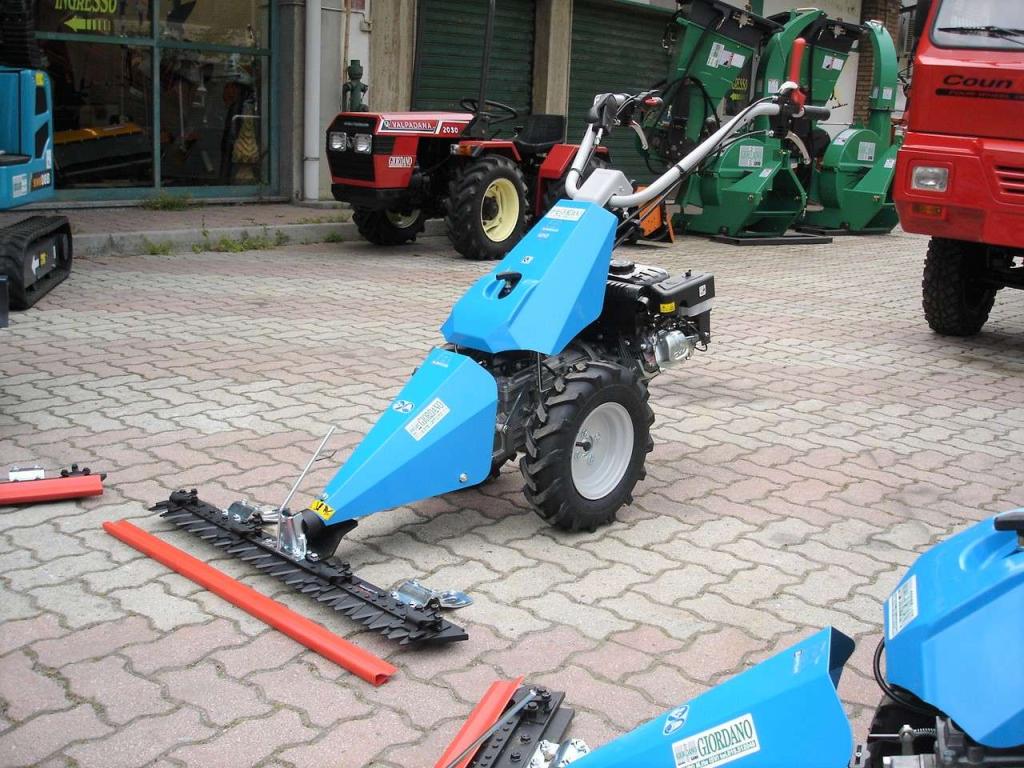 Bertolini 120 S - MOTORE EMAK BENZINA Foto 1