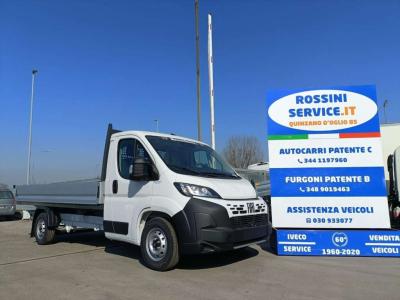 Fiat MAXI  L4 140 CV NUOVO CASSONE FISSO SCATTOLINI in vendita da Rossini Truck & Van Srl